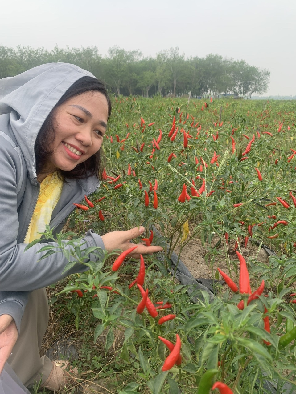Nông trại Youwon Vina